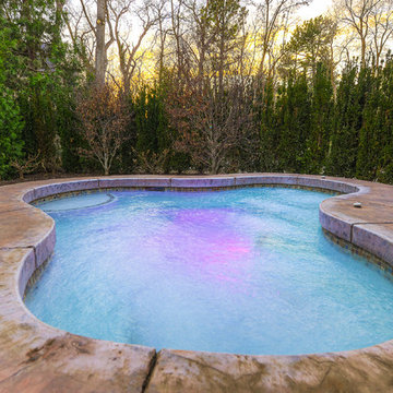 Pool/Spa/Outdoor Rock Feature Holladay, Utah #2