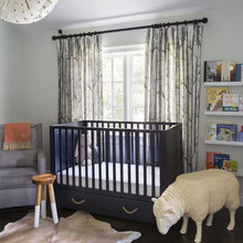 Baby Bear Ideas