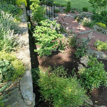 Japanese Rock Garden Infusion