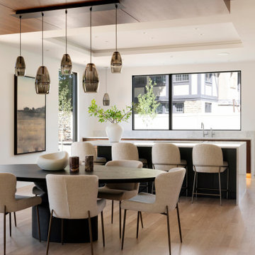N44° 56' 06" | Bde Maka Ska | Modern Minneapolis Home