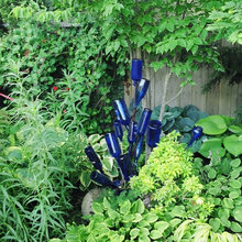 Garden.