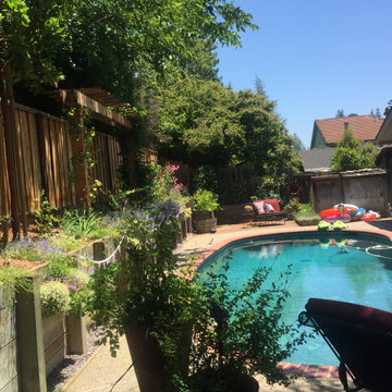 Poolside Privacy One Year Later!