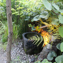 Japanese Fountain