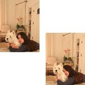 Claire Kristof's photo