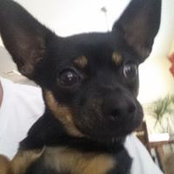 Mike Tiglio's photo