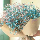 Mariem Ayman's photo