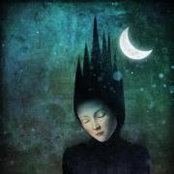 Sondra Tudor's photo
