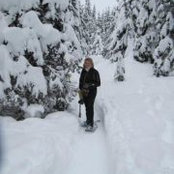 Darlene Arsenault's photo