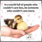Paula Morris's photo
