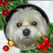 Marjorie Downey's photo
