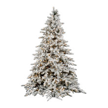 Christmas Trees