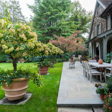 Potted Gardens