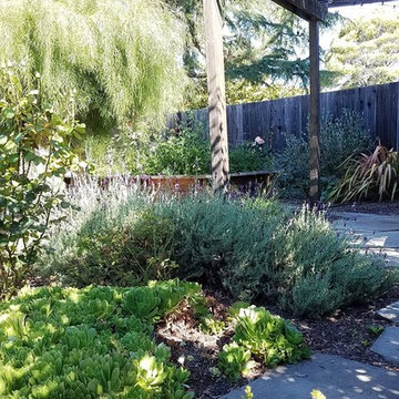 Super Sunny Multi-Use Backyard