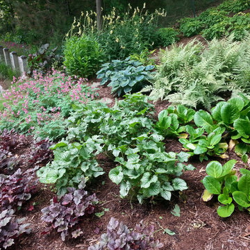 Duneside Shade Garden