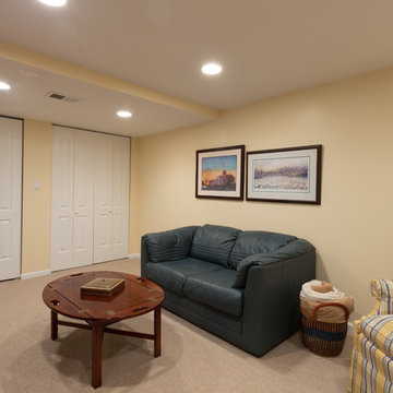 Small Basement Remodeling Chicago