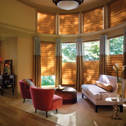 Hunter Douglas Vignette&reg; Shades - Window Blinds