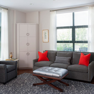 DC Condo - Danziger Design - Washington, DC