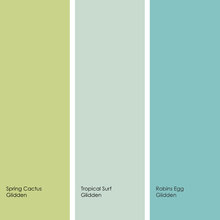 Paint Colors