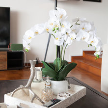 Styling Trays