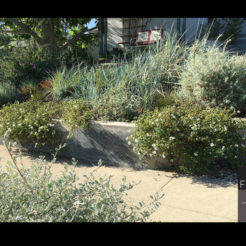 Homescaping Front yard transformation