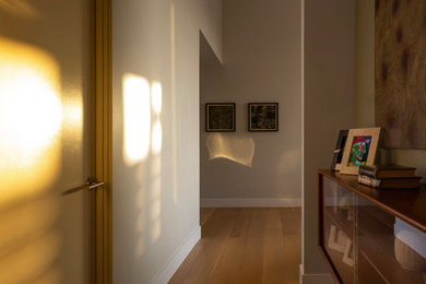 Ejemplo de recibidores y pasillos minimalistas con suelo de madera clara