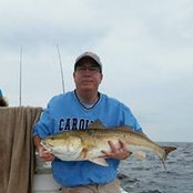 Mike Dunning's photo
