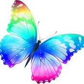 Paula Robbins's photo