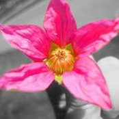 Foto von Melissa Casatelli