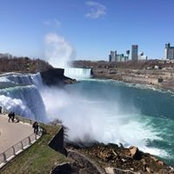 Andy Parisi's photo