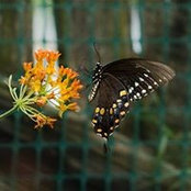 Foto de Michele Beresh

