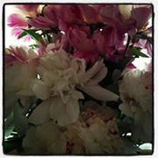 Katherine Harrison's photo