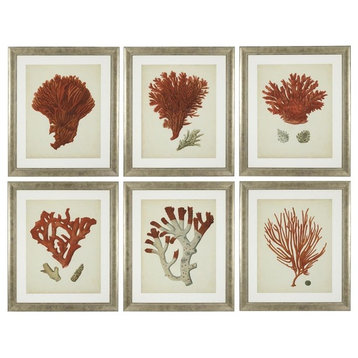 Coral Print Set (6) | Eichholtz Red Corals
