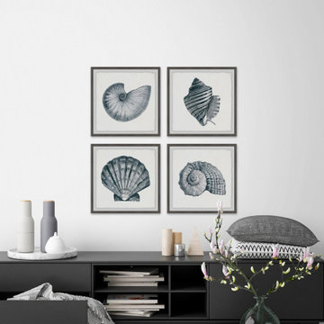 Gray Sea Shells Quadriptych