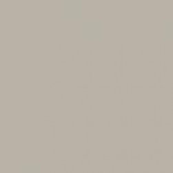 Benjamin Moore Northern Cliffs 1536 - Paint