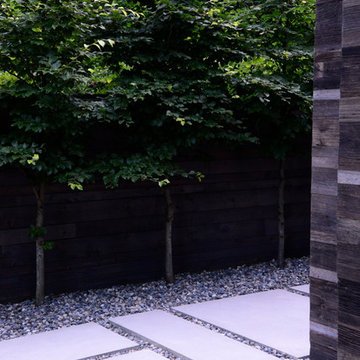 Ravine House