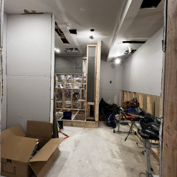 Basement Remodel