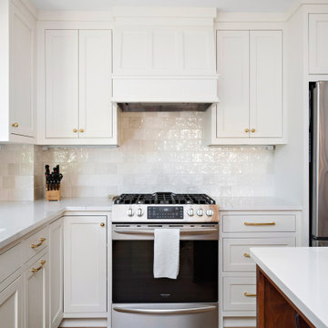 Princeton Way - Whole Home Remodel