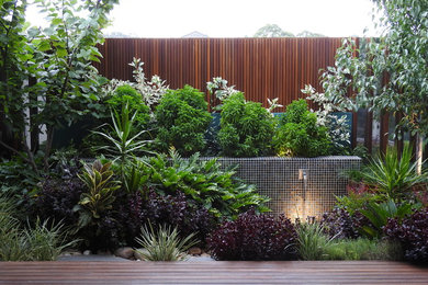 Small modern garden in Perth.