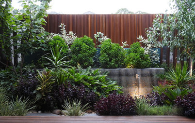 A Small, Drab Courtyard Gets a Dreamy, Subtropical Makeover