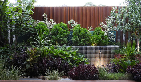 A Small, Drab Courtyard Gets a Dreamy, Subtropical Makeover