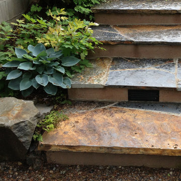 DIY Landscape Design in a Day