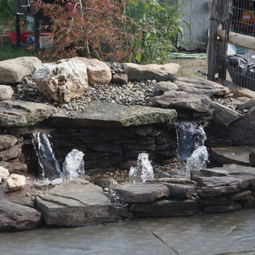 Backyard Makeover - Turtle Paradise!