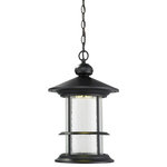 Z-LITE - Z-LITE 552CHB-BK-LED Outdoor LED Chain Hung Light - Z-LITE 552CHB-BK-LED Outdoor LED Chain Hung Light, BlackStylish and energy efficient defines these LED lanterns. Cast aluminum fixtures finished in black with clear seedy glass, paired with LED technology delivers a traditional look with modern efficiency.Collection: GenesisFrame Finish: BlackFrame Material: AluminumShade Finish/Color: Clear SeedyShade Material: GlassDimension(in): 11.625(W) x 18.125(H)Chain Length(in): 30"Bulb: (1)14W LED-Integrated,Non-DimmableLED Delivered Lumen: 527LED Color Temperature: 2700KLED Color Rendering Index(CRI): CRI>80UL Classification/Application: CUL/cETLu/Wet