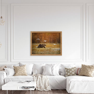 Big Brown Bear Crossing The Marshlands Rustic Farmhouse Style Wall Art Prints
