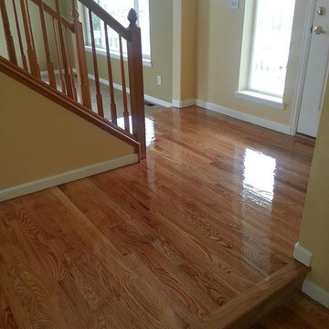 Our Work