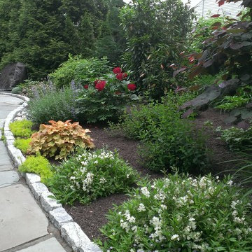 Flagstone Walkway & Privacy Planting