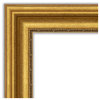Parlor Gold Non-Beveled Full Length On the Door Mirror - 19.75 x 53.75 in.
