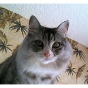 Foto von Silke Franken