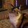 karen_hughes3614
