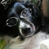 Carolyn Torella's photo